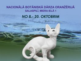 Pedagogu darbu izstāde