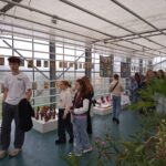 Izstāde ZEMES GAISMA