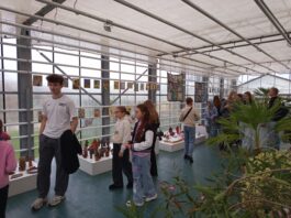 Izstāde ZEMES GAISMA