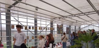 Izstāde ZEMES GAISMA