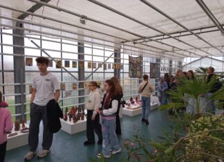 Izstāde ZEMES GAISMA