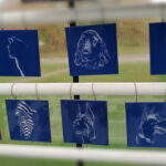 Izstāde ZEMES GAISMA dzīvnieki